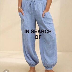 Aerie Light Blue Track Pants